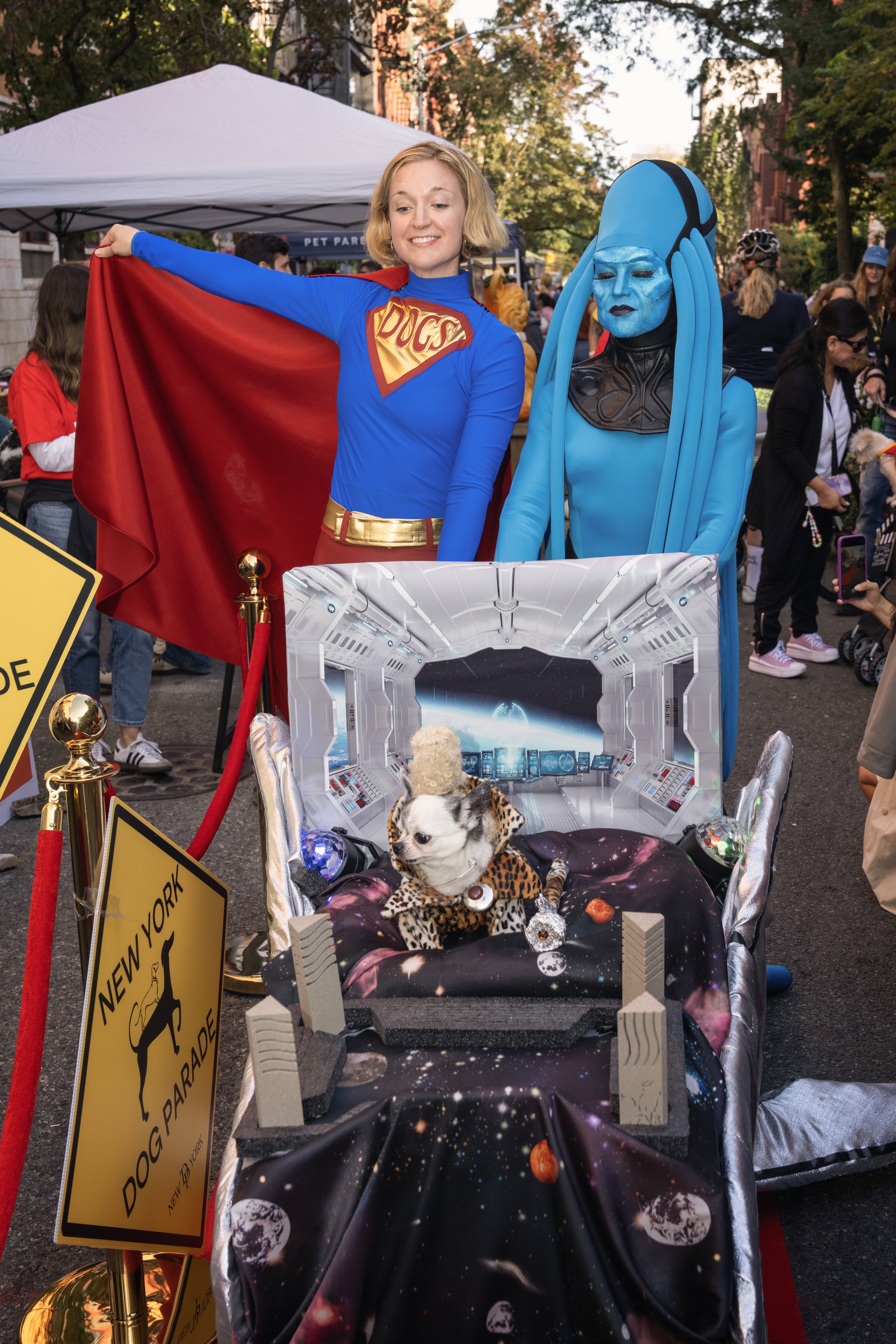 What the dogs wore to the 35th Tompkins Square Halloween Dog Parade 6 A cosmic Halloween dog display.