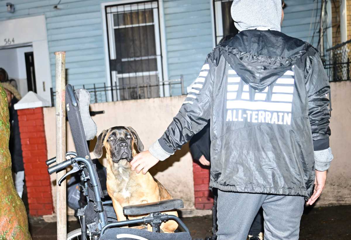 Two die in basement flooding amid torrential NYC rainstorm, including man who tried to save his dogs | amNewYork