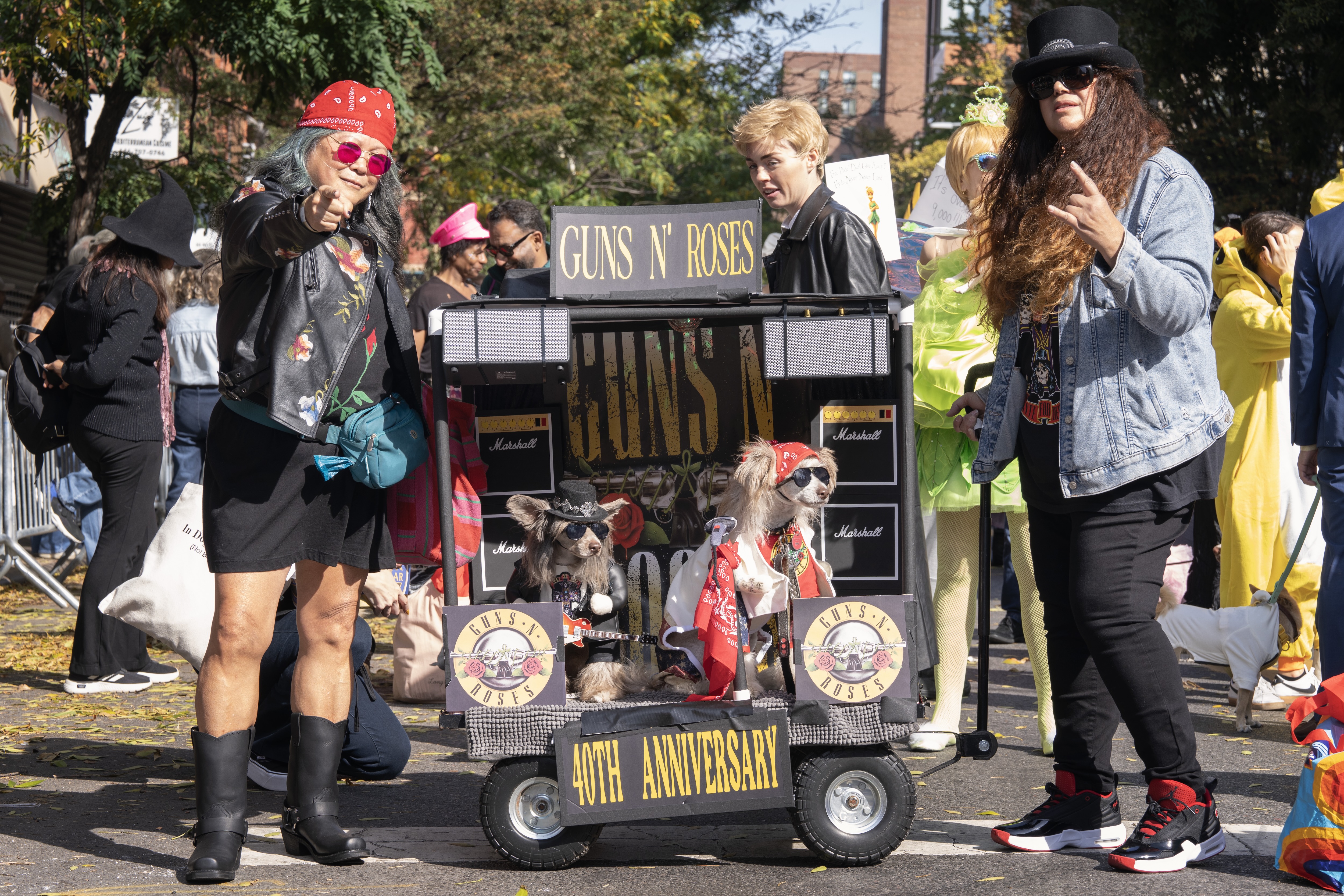 What the dogs wore to the 35th Tompkins Square Halloween Dog Parade 3 Dogs dressed as Guns n' Roses.