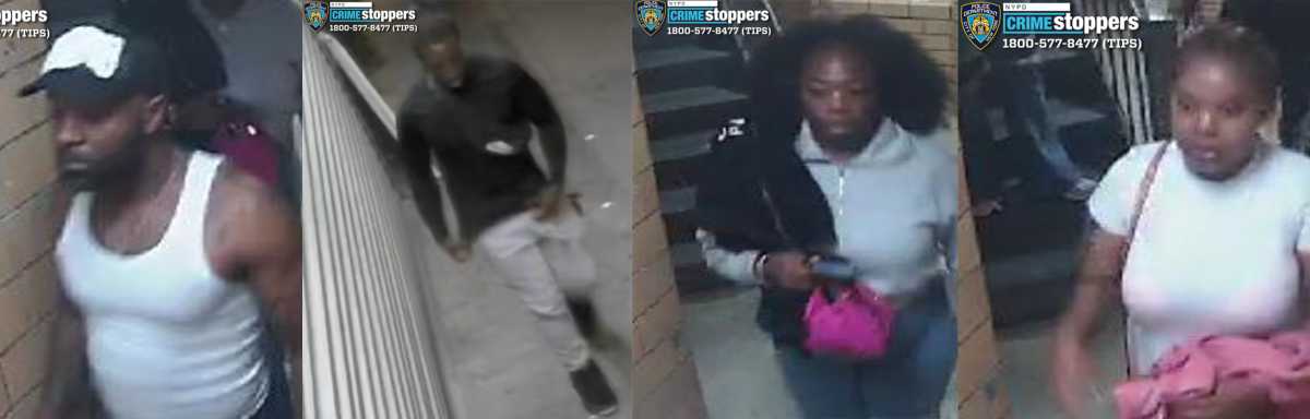 suspects in Bronx beating and stabbing