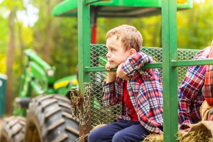 Hayride. Copy space for your text