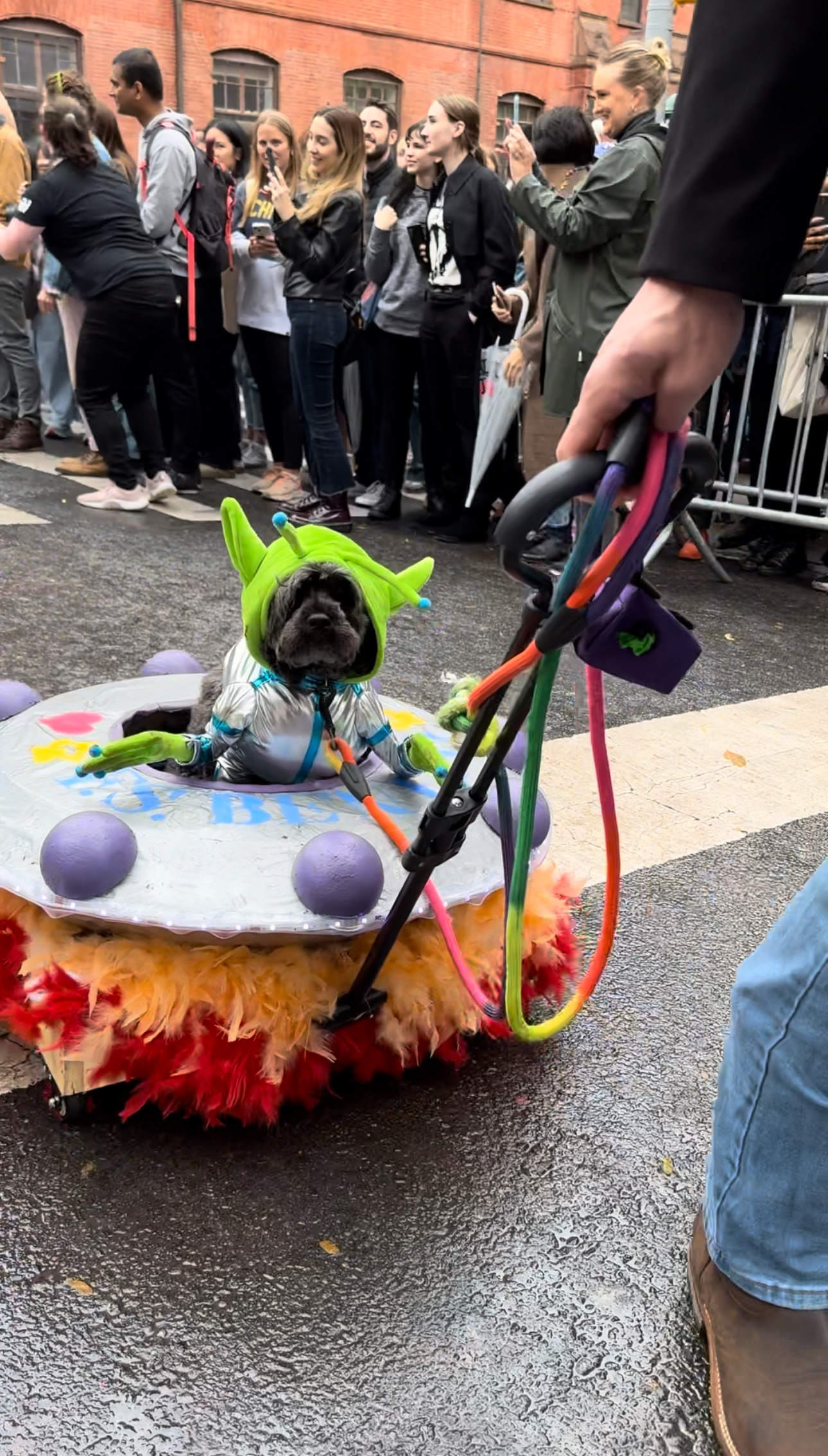 dog alien