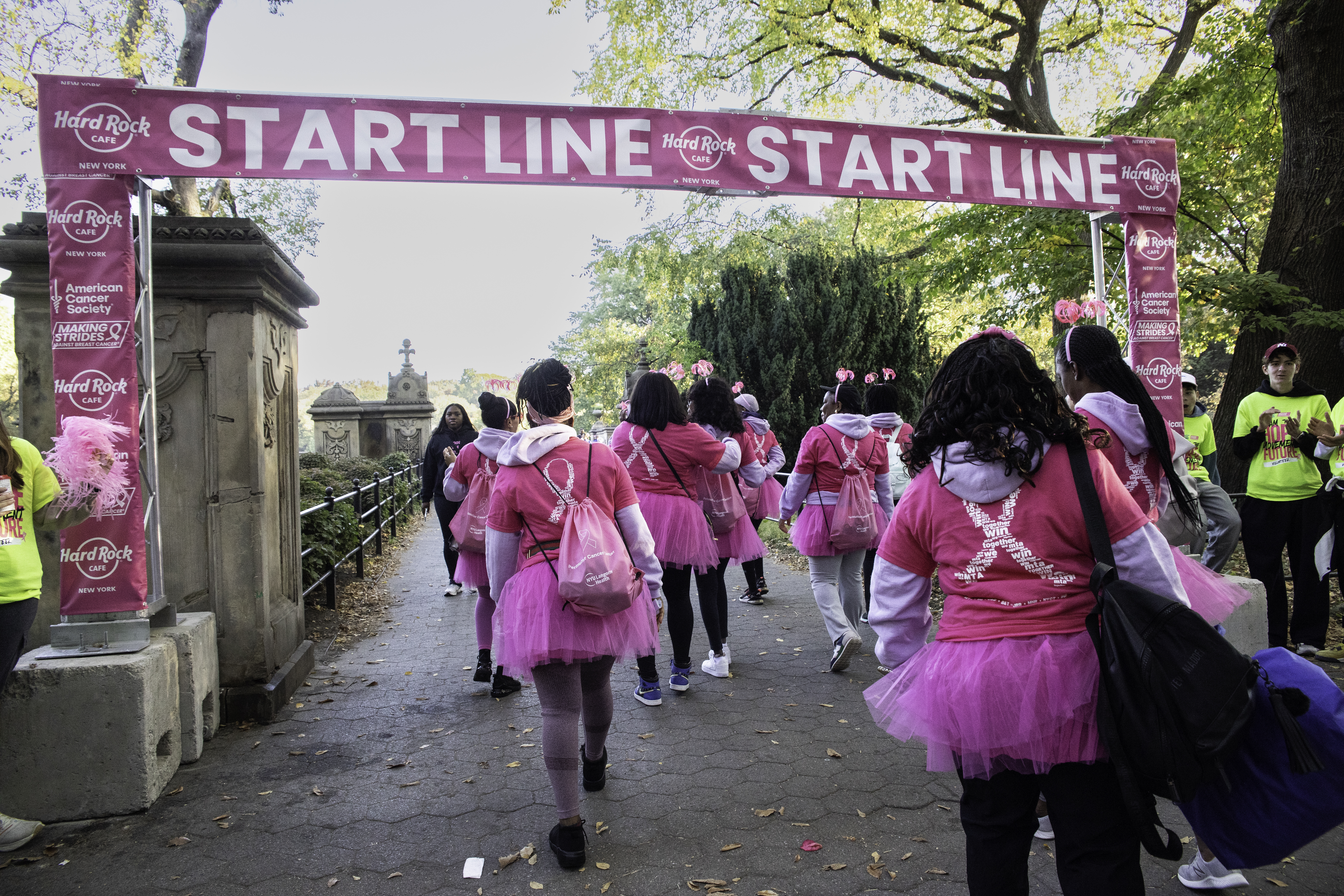 A step closer to healing: The annual Making Strides Against Breast Cancer is back in Central Park on Oct. 19 2 The Annual Making Strides Against Breast Cancer walk is returning to Central Park.