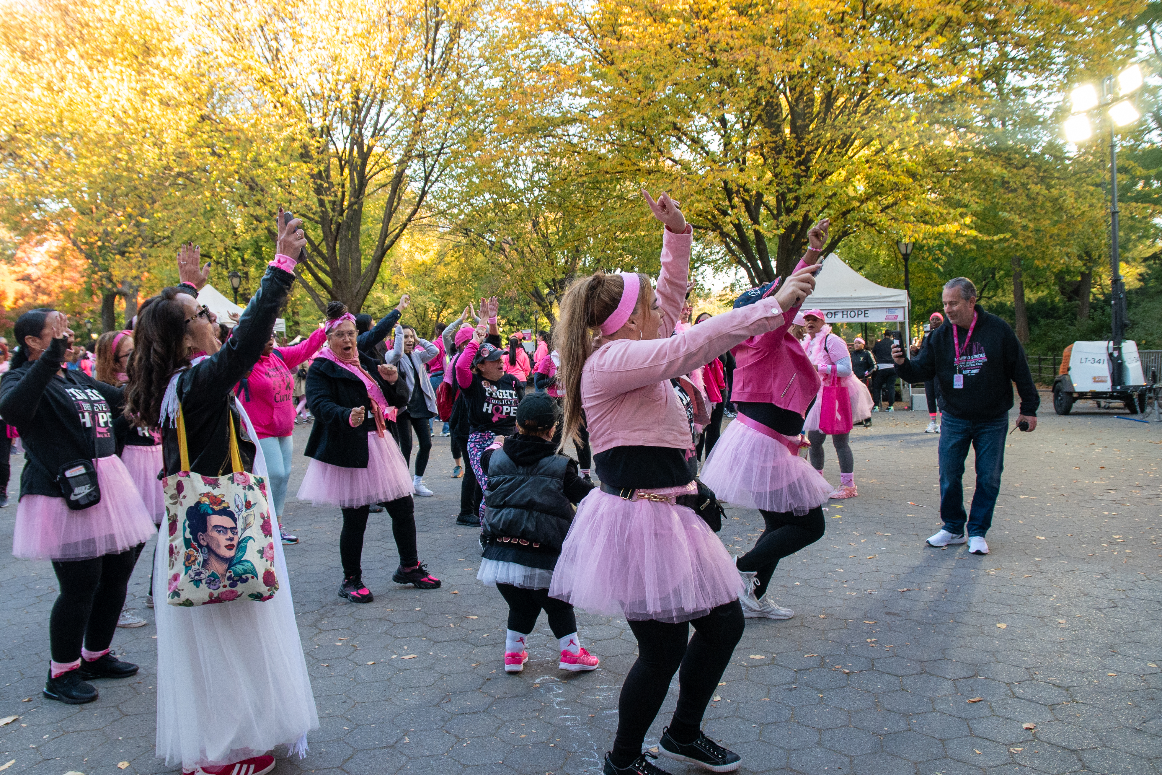 A step closer to healing: The annual Making Strides Against Breast Cancer is back in Central Park on Oct. 19 3 The Annual Making Strides Against Breast Cancer walk is returning to Central Park.