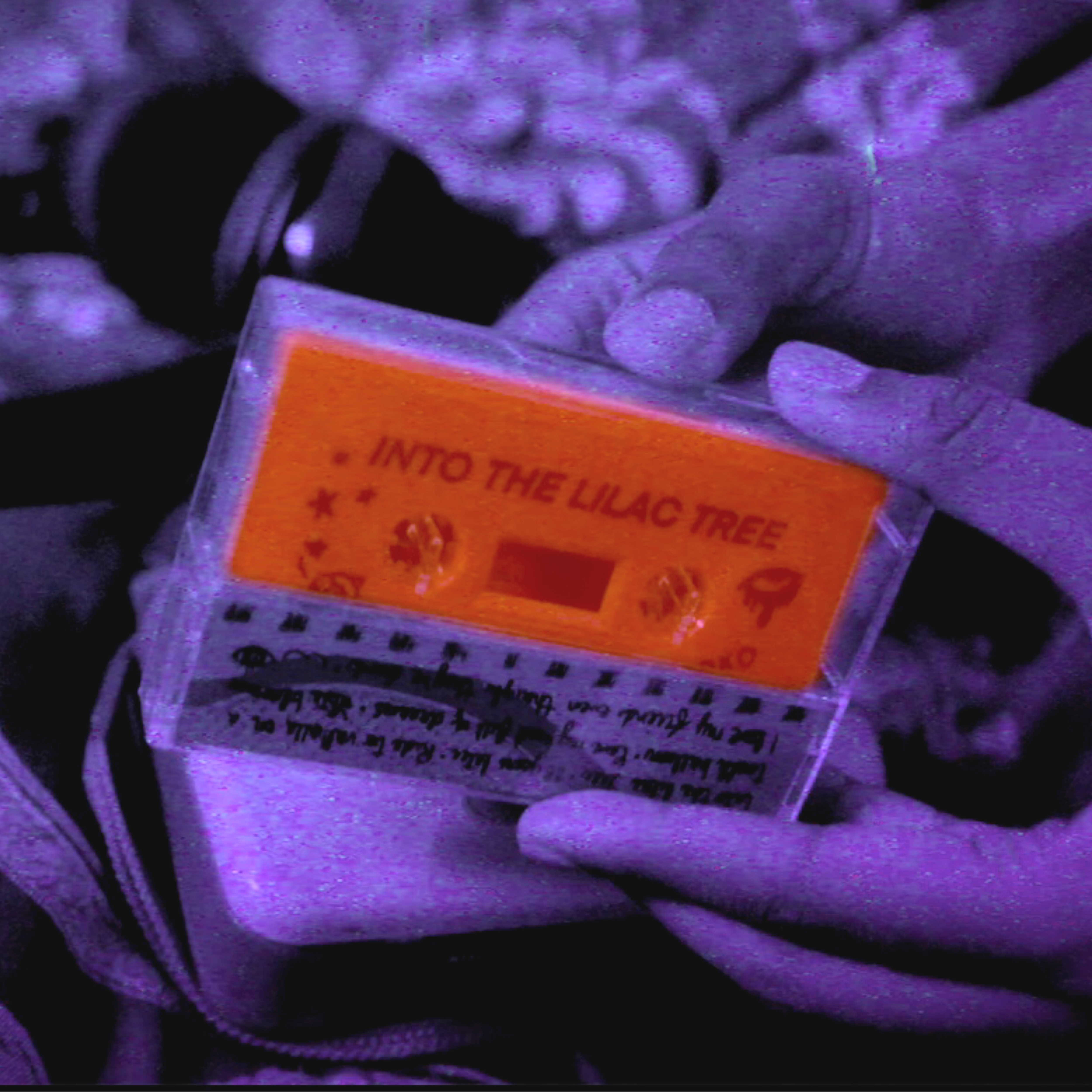 into the lilac tree cassette tape