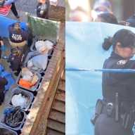 Brooklyn body mystery: Person of interest fought cops after arrest for rotting corpse in trash 40 cops work at scene where decomposing body rotting corpse was found in Brooklyn