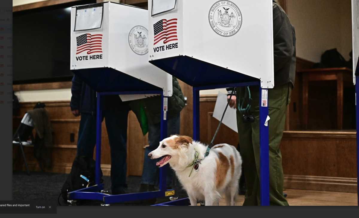 Judicial elections: What to know for 2025 | amNewYork