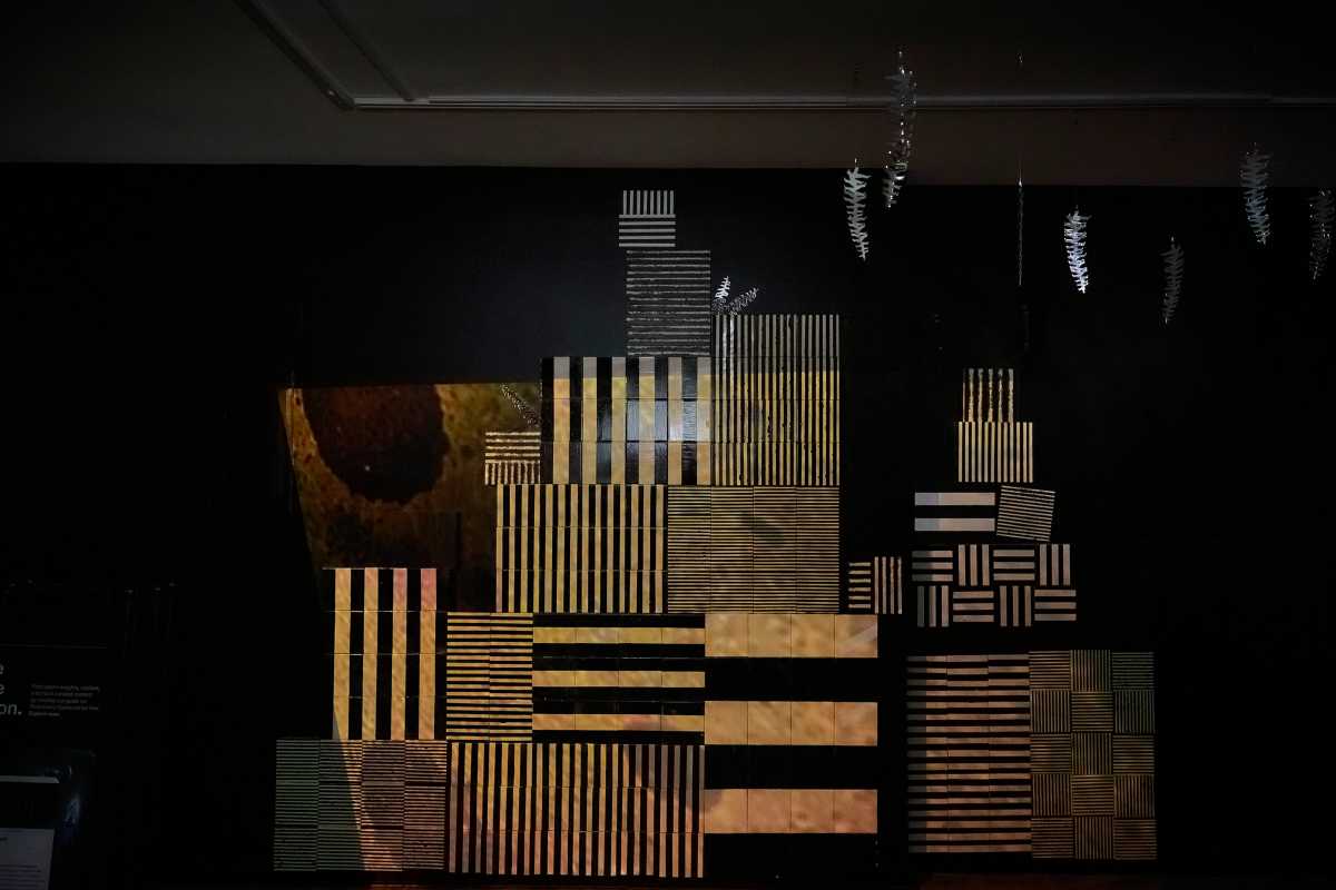 Light refracting off Shoshanna Weinberger art