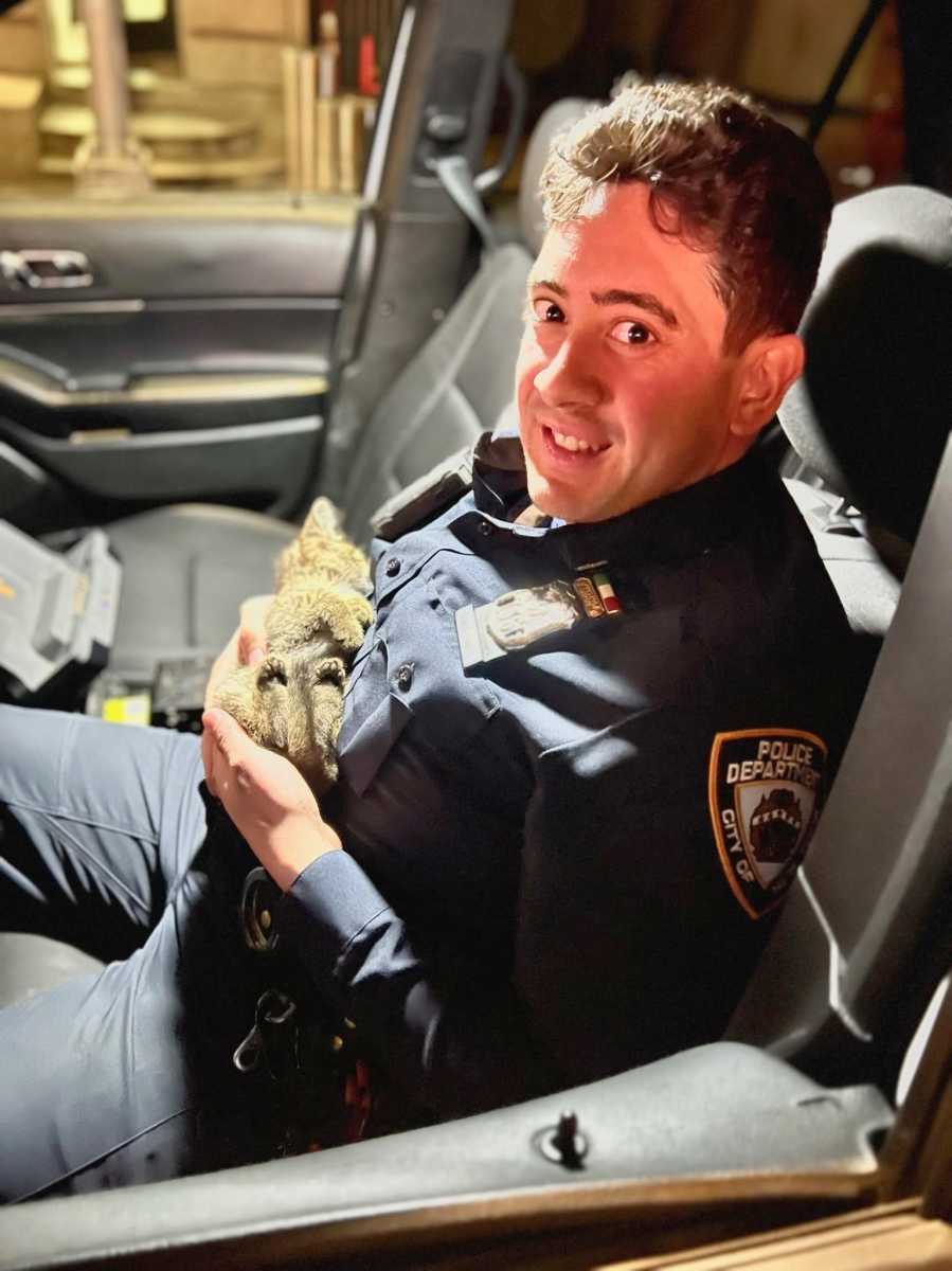 Midtown cop rescues kitten from food truck, then adopts the stray: We are meant to be connected' | amNewYork