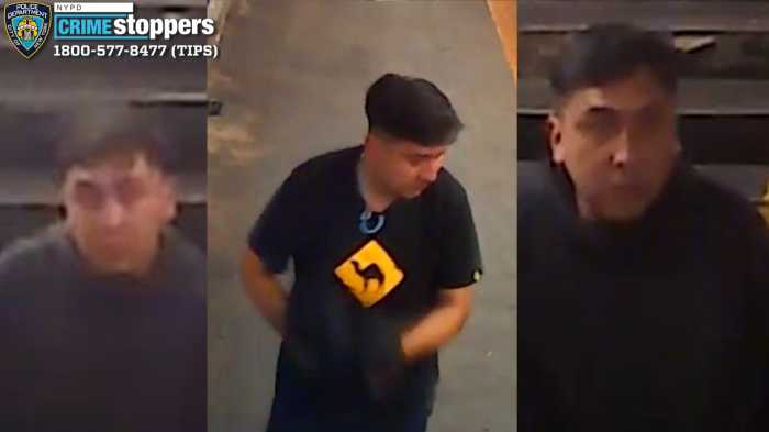 Man stabbed in troubled Lower Manhattan park: NYPD 1 The suspects fled north on Chrystie Street. One was last seen wearing all black with a yellow design on his shirt while the other wore a baseball cap, a blue shirt, and dark jacket.