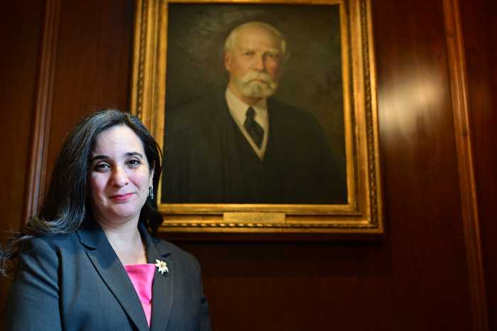 Brooklyn Bar Association’s first LGBT president brings her personal style to leadership 2