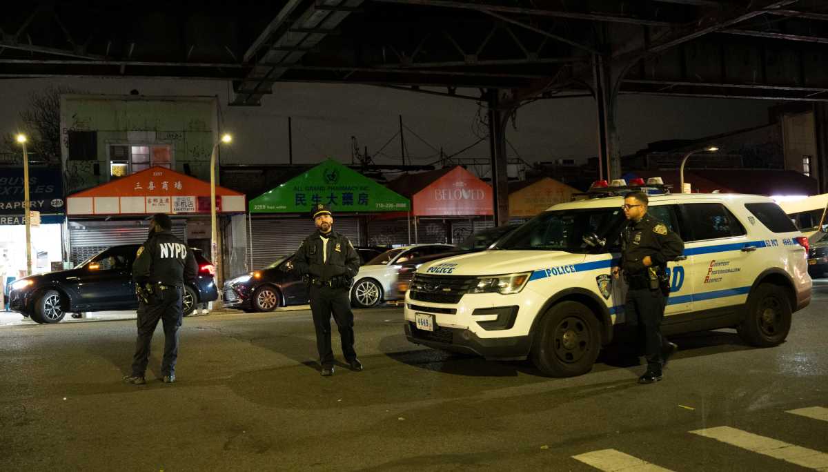 EXCLUSIVE | ICE agents arrested young Brooklyn mom out of her home, says local City Council member 4