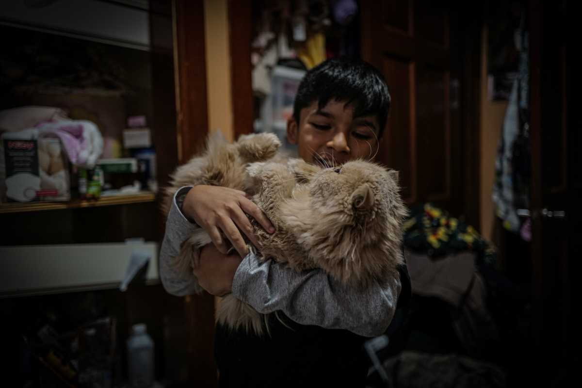 A Queens mom and her young family try to find 'the strength to survive' after ICE took their husband and father away 7