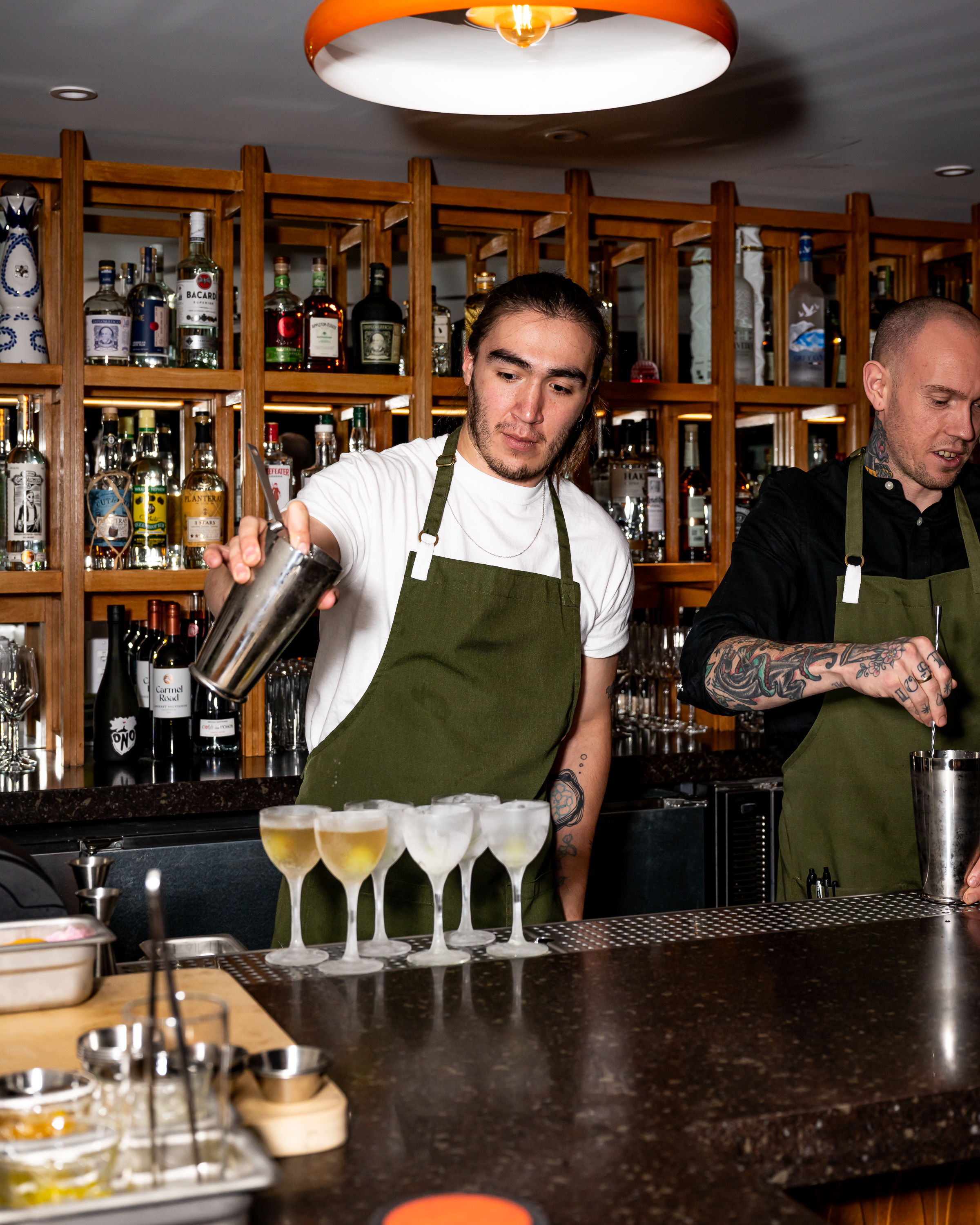 The Seedless Library