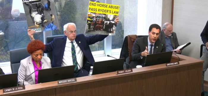 Ryder’s Law stalls: Bill to phase out NYC horse carriage industry halted by council committee 2 Council Member Robert Holden holds up signage during the Committee on Health meeting on Nov. 14 to advocate for Ryder’s Law