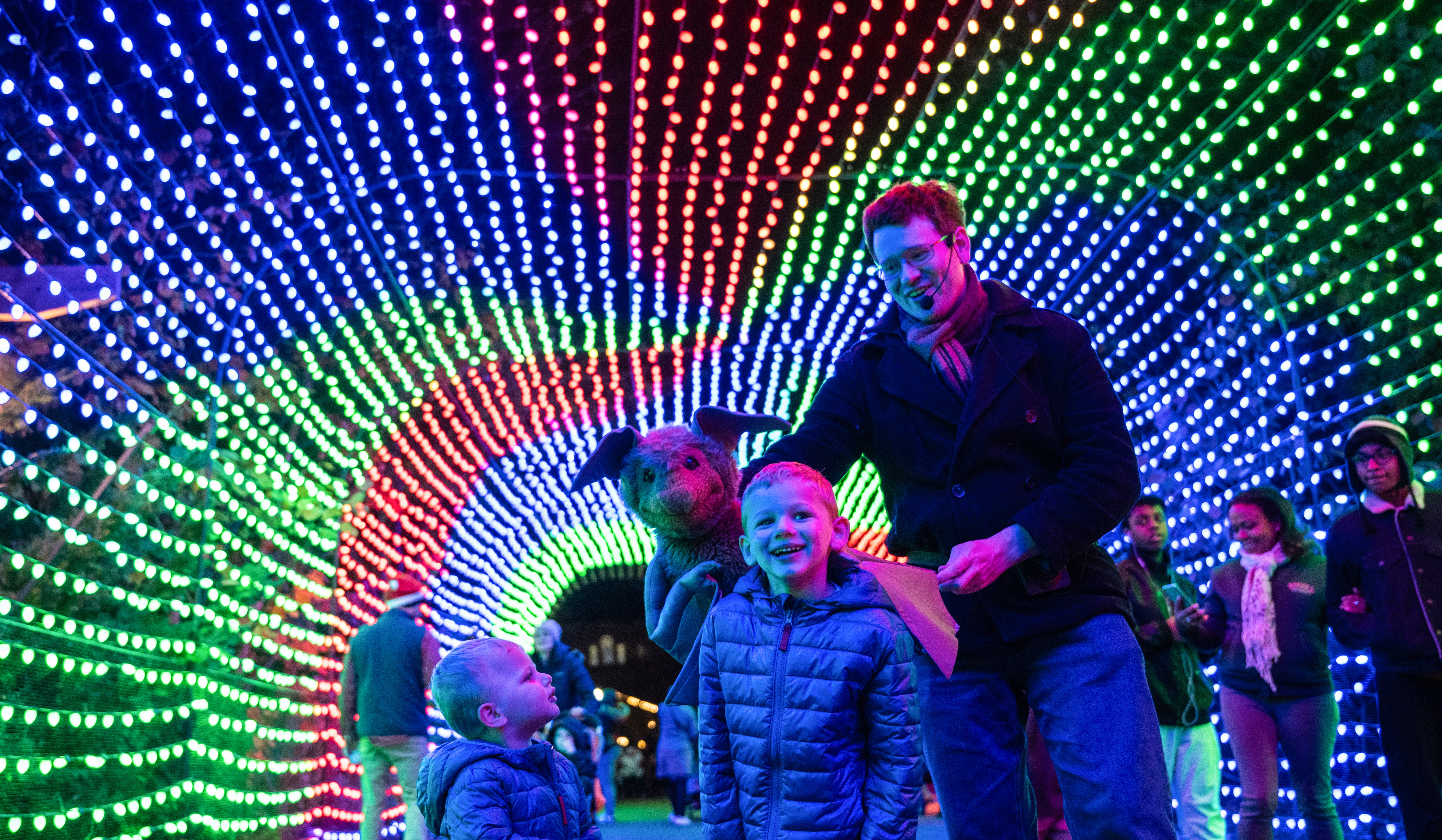 Bronx Zoo Holiday Lights.