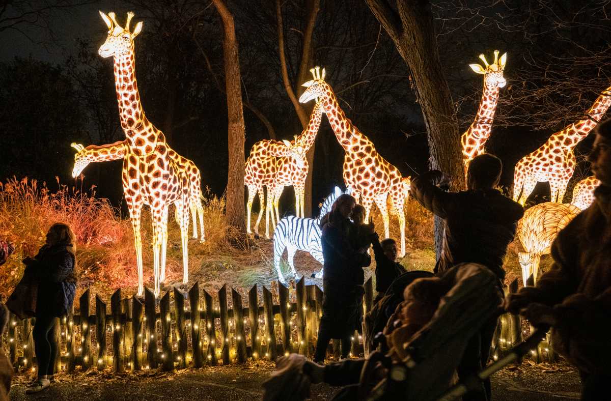 Your winter arts guide for New York City 2025