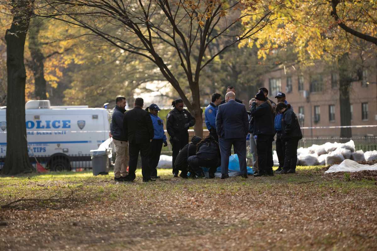 Dead infant discovered under leaves in Brooklyn public housing complex yard: cops