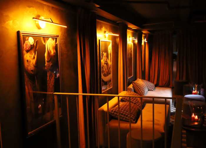 Out Of Ordinary, Manhattan's newest nightclub, stampedes onto the scene 2