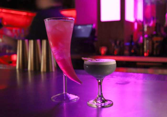 Out Of Ordinary, Manhattan's newest nightclub, stampedes onto the scene 3