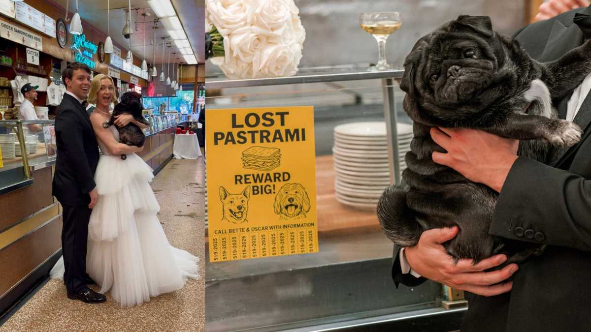 Kuma served as the Honorary Wedding Pug.