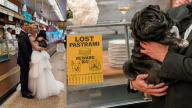 Kuma served as the Honorary Wedding Pug.