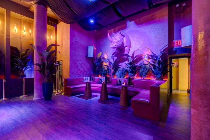 Out Of Ordinary, Manhattan's newest nightclub, stampedes onto the scene 1