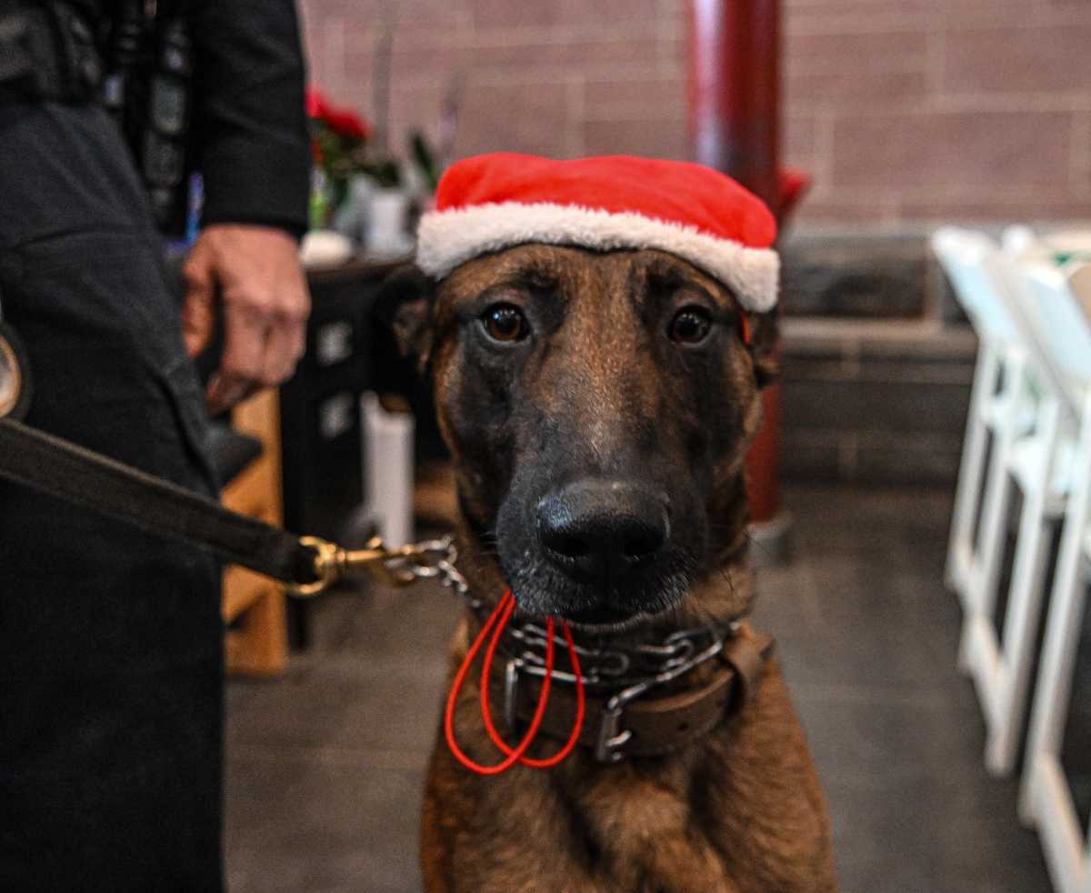 A season of hope: NYPD and Candlelighters deliver holiday joy in Central Park to families impacted by childhood cancer 5