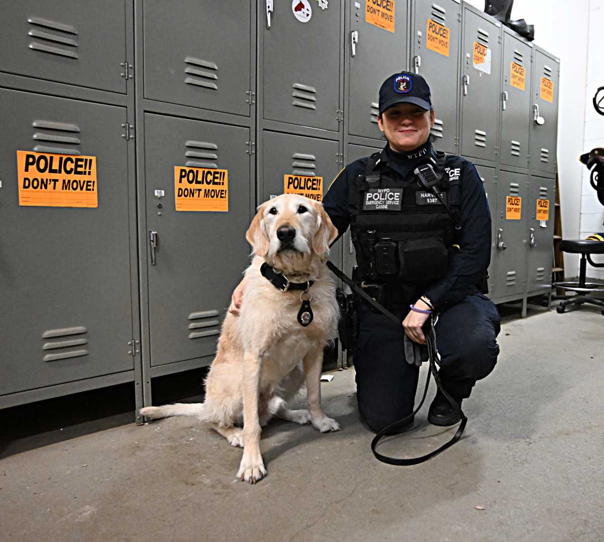Dogs on the job: NYPD showcases its hard-working four-legged cops with new calendar 4