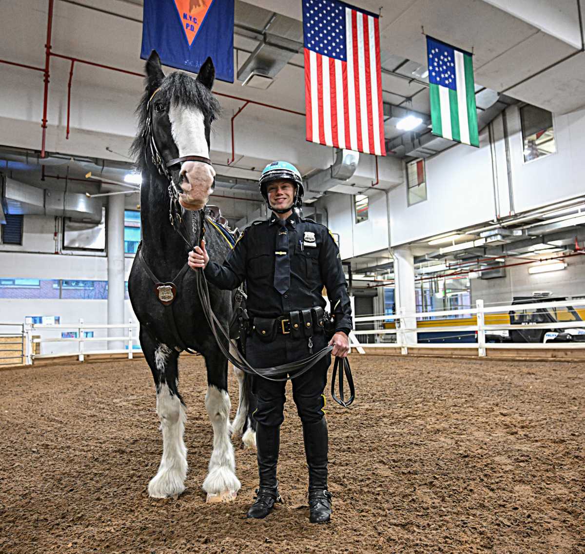 Dogs on the job: NYPD showcases its hard-working four-legged cops with new calendar 6