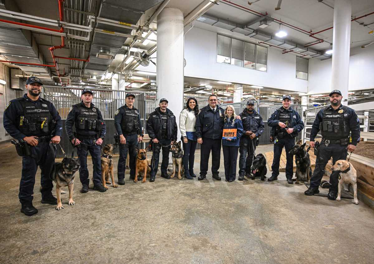 Dogs on the job: NYPD showcases its hard-working four-legged cops with new calendar 5
