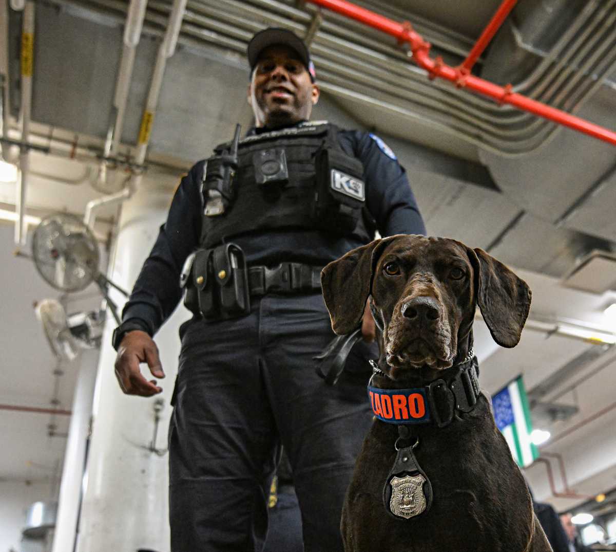 Dogs on the job: NYPD showcases its hard-working four-legged cops with new calendar 2