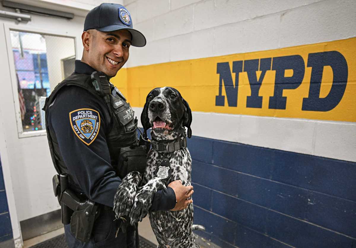 Dogs on the job: NYPD showcases its hard-working four-legged cops with new calendar amNewYork