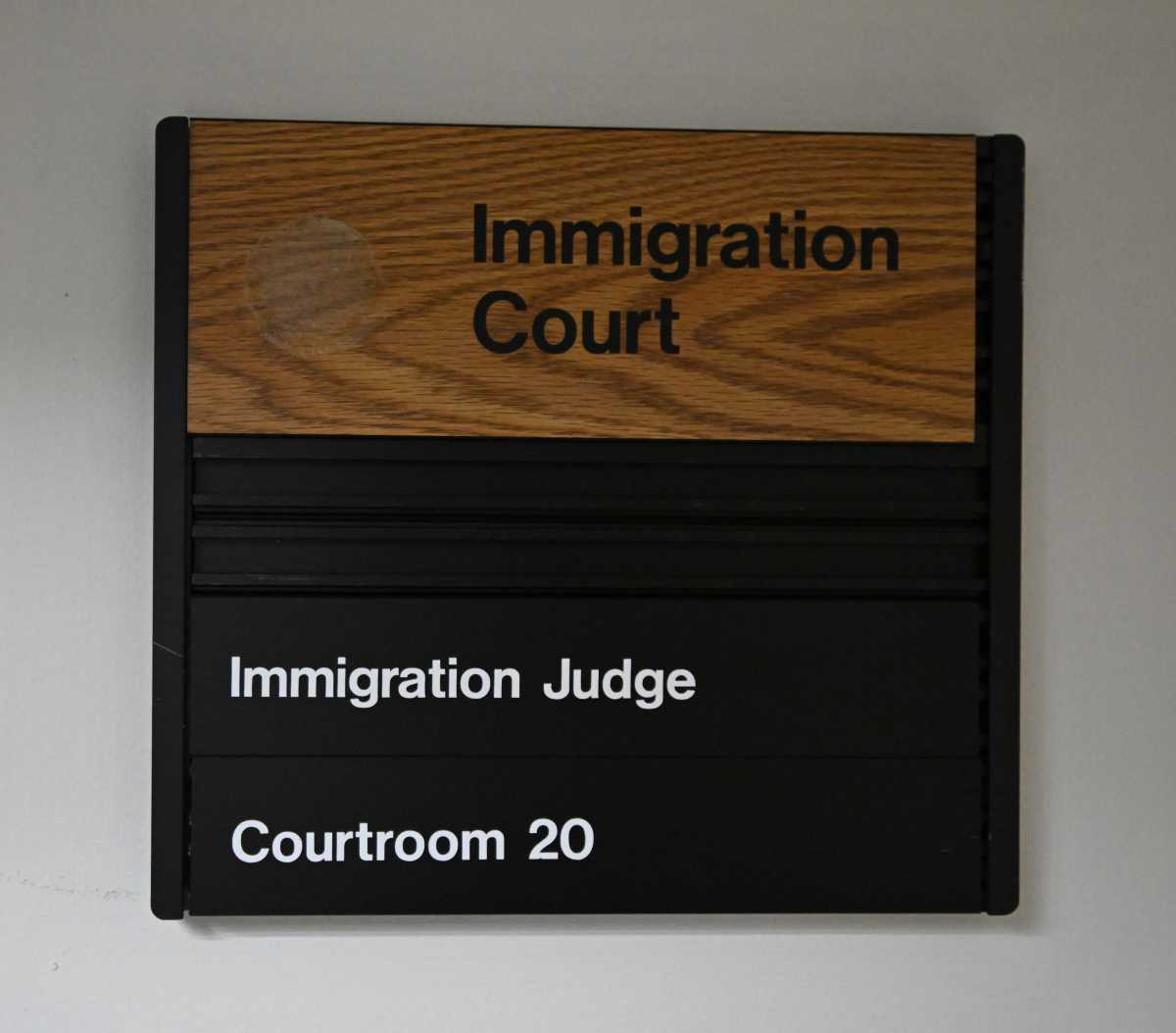 No judge? No problem for ICE: Detainments go on at Lower Manhattan's Federal Plaza 'kangaroo court' after jurists fired 3