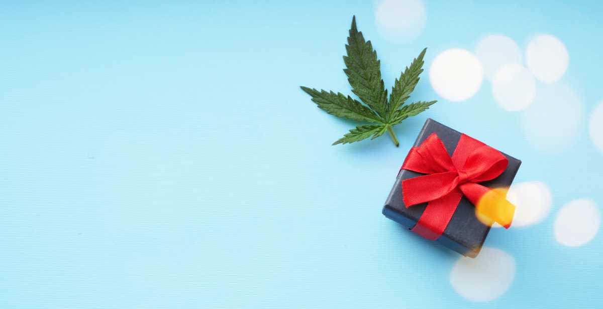 Christmas banner. Festive glowing. Cannabis leaf with gift box Flat lay