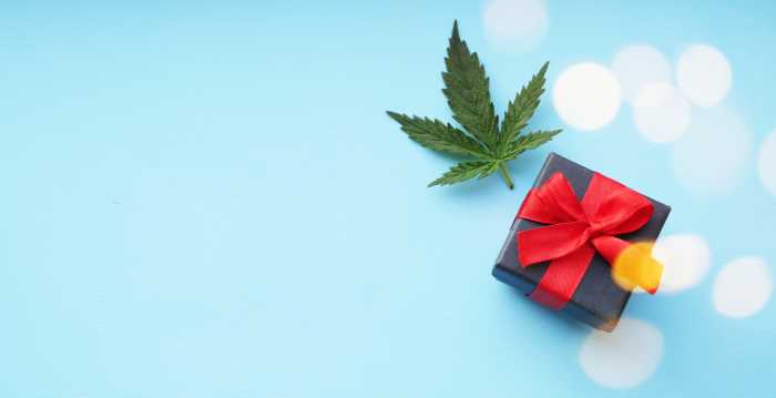 Christmas banner. Festive glowing. Cannabis leaf with gift box Flat lay