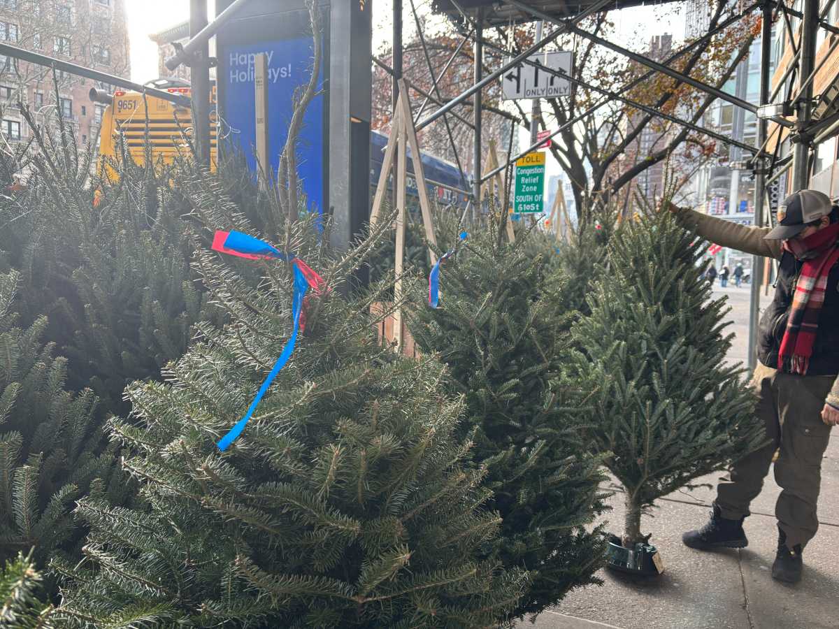 Christmas tree street vendors in NYC keep New Yorkers 'pine'-ing for some holiday spirit 5 Christmas tree