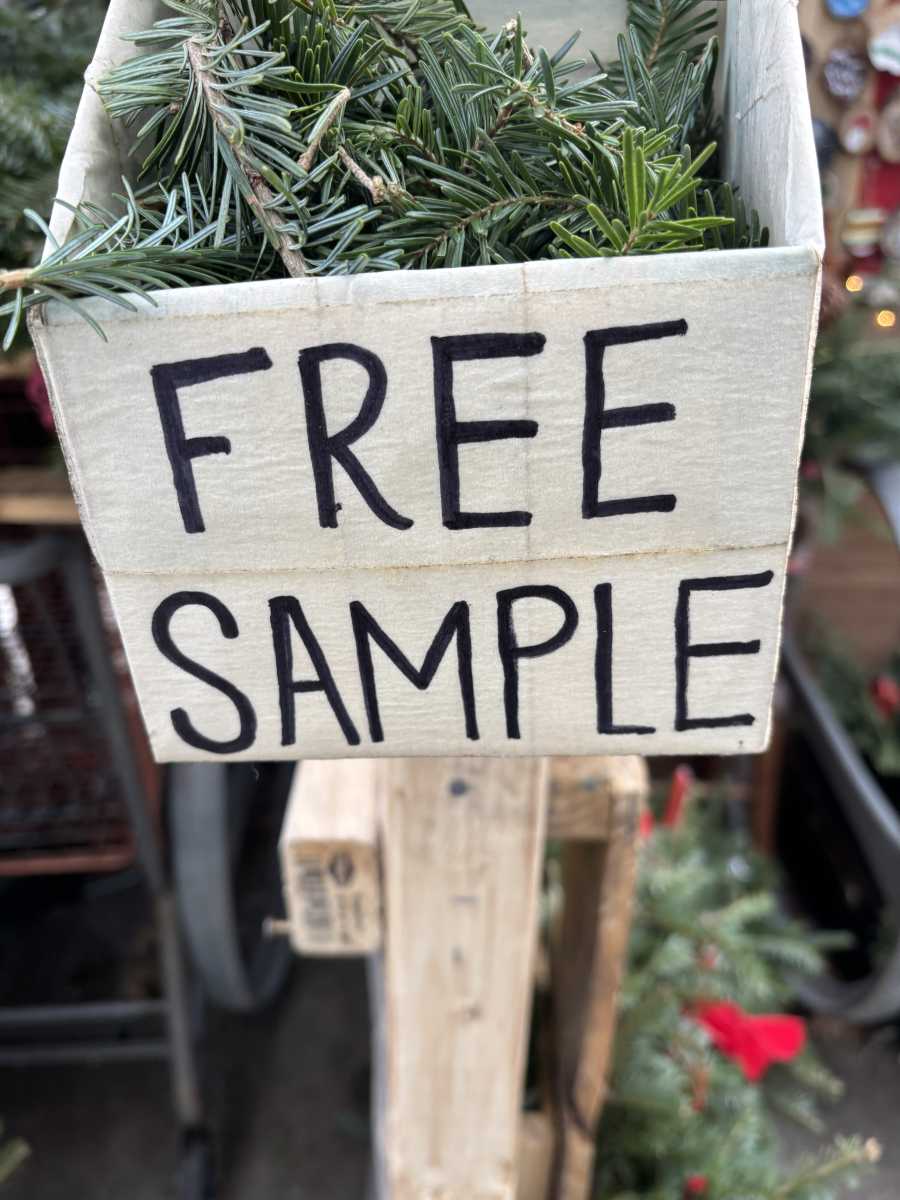 Christmas tree street vendors in NYC keep New Yorkers 'pine'-ing for some holiday spirit 4