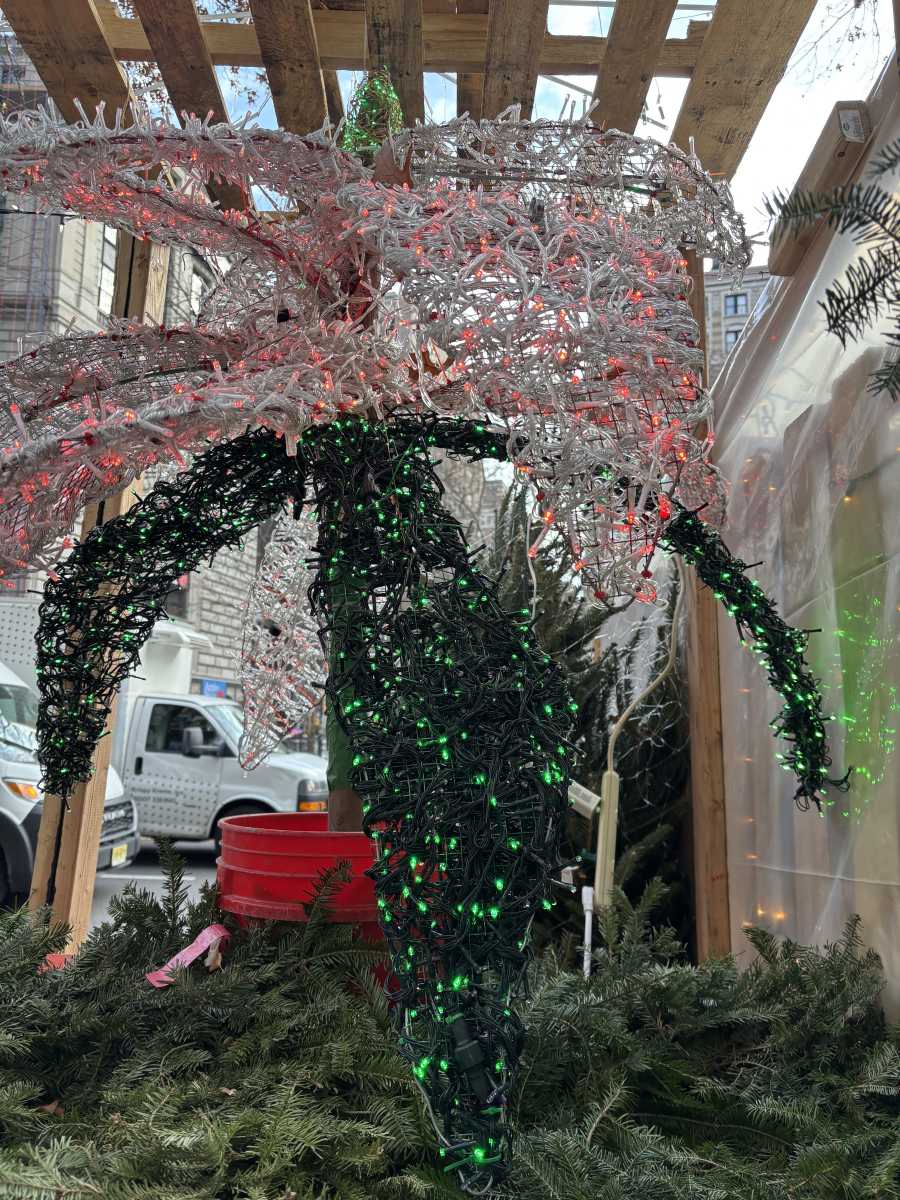 Christmas tree street vendors in NYC keep New Yorkers 'pine'-ing for some holiday spirit 6
