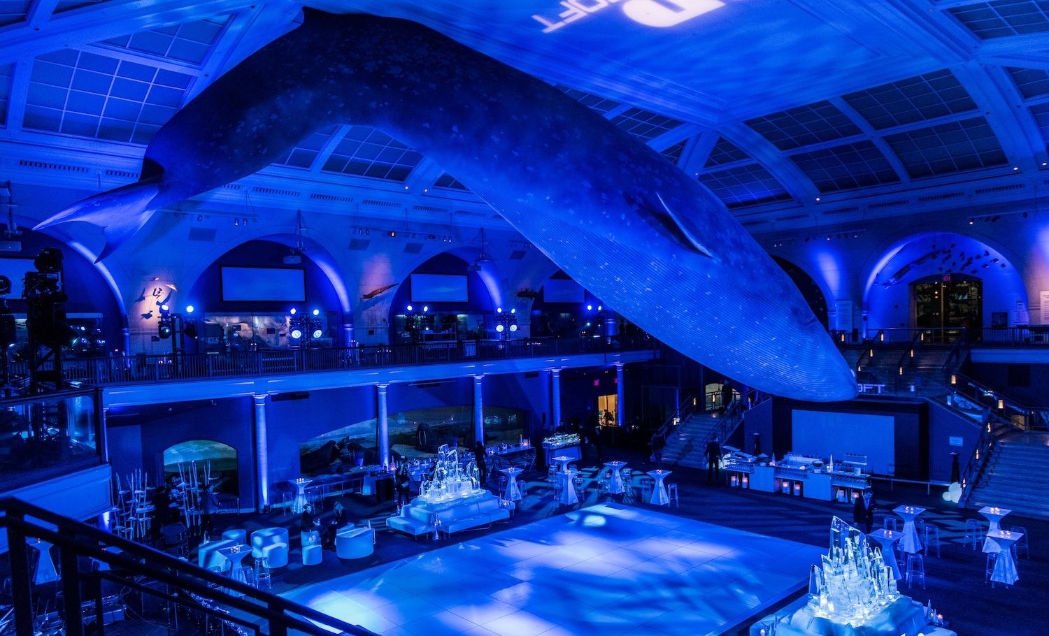 A Museum of Natural History party by Eventique