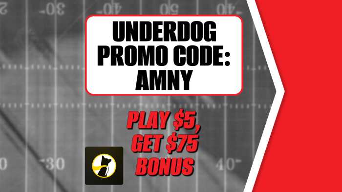 underdog promo code