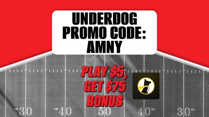 underdog promo code