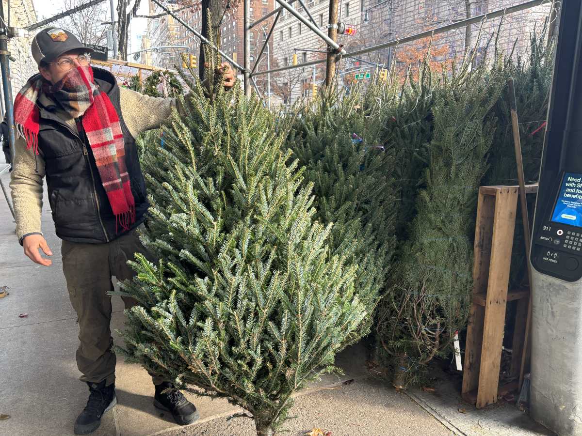 Christmas tree street vendors in NYC keep New Yorkers pine'-ing for some holiday spirit amNewYork