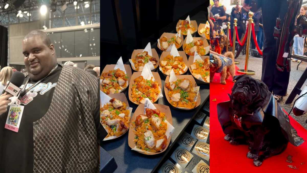 screenshots from amNY videos