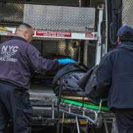 Bronx murder-suicide: Retired Port Authority cop shot sister dead and wounded mother before taking own life, sources say 13 Police wheel out body of victim in Bronx murder-suicide