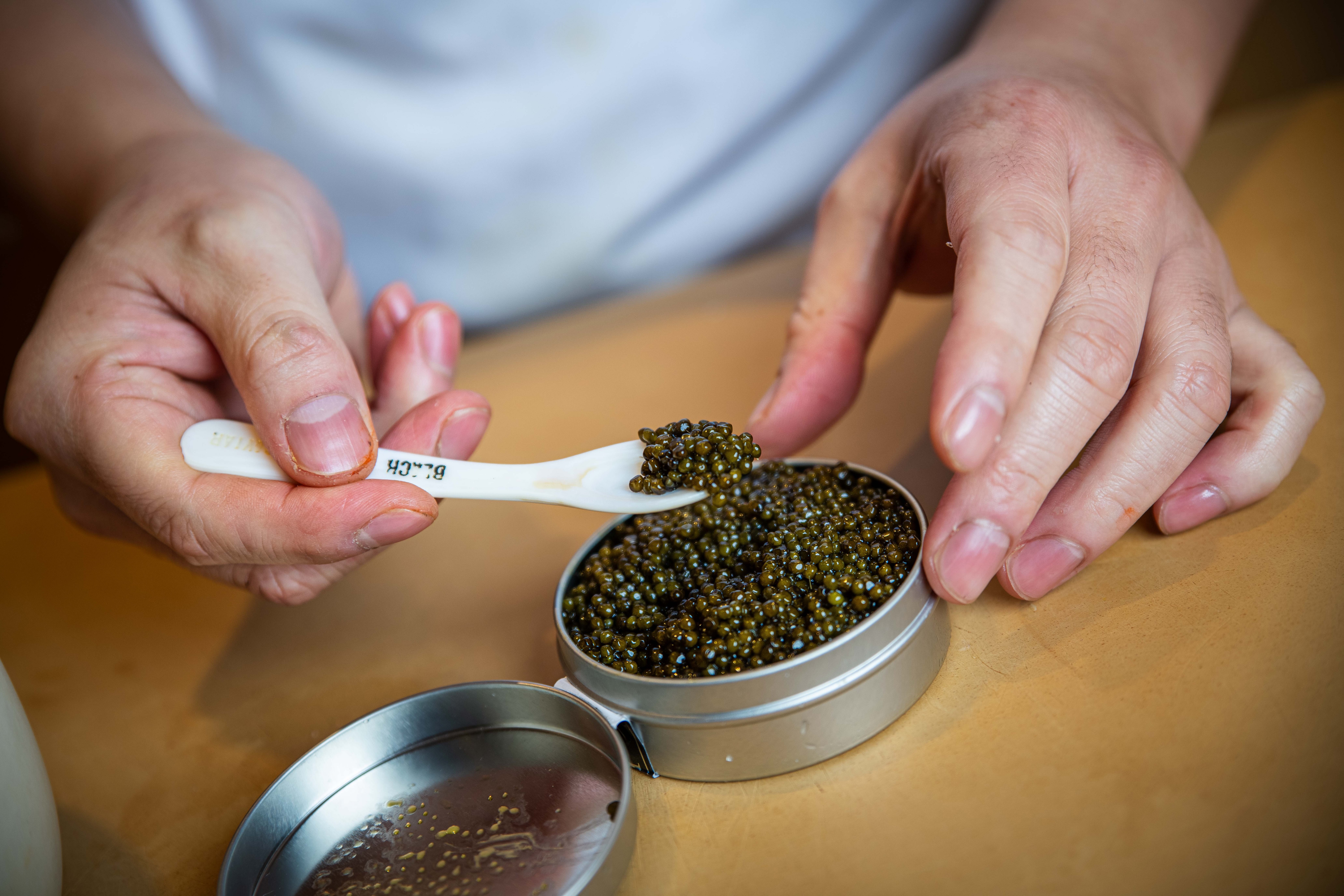 Where the city finally exhales: Kiwami Omakase, DUMBO 3 caviar