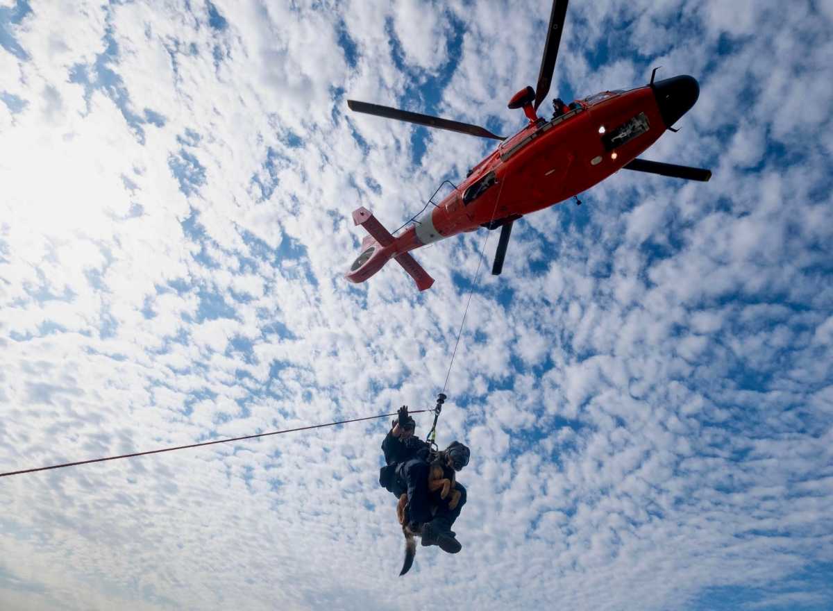 Alaina Whitaker dropping from a helicopter