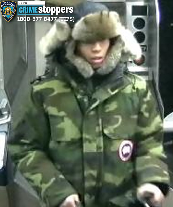 Union Square dog attack: Owner sics canine onto straphanger in vicious subway assault 2