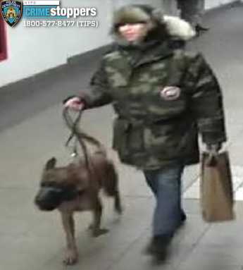 Dog and owner involved in Union Square dog attack at subway station