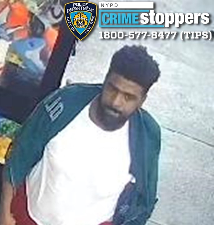 suspect in bronx baseball bat attack